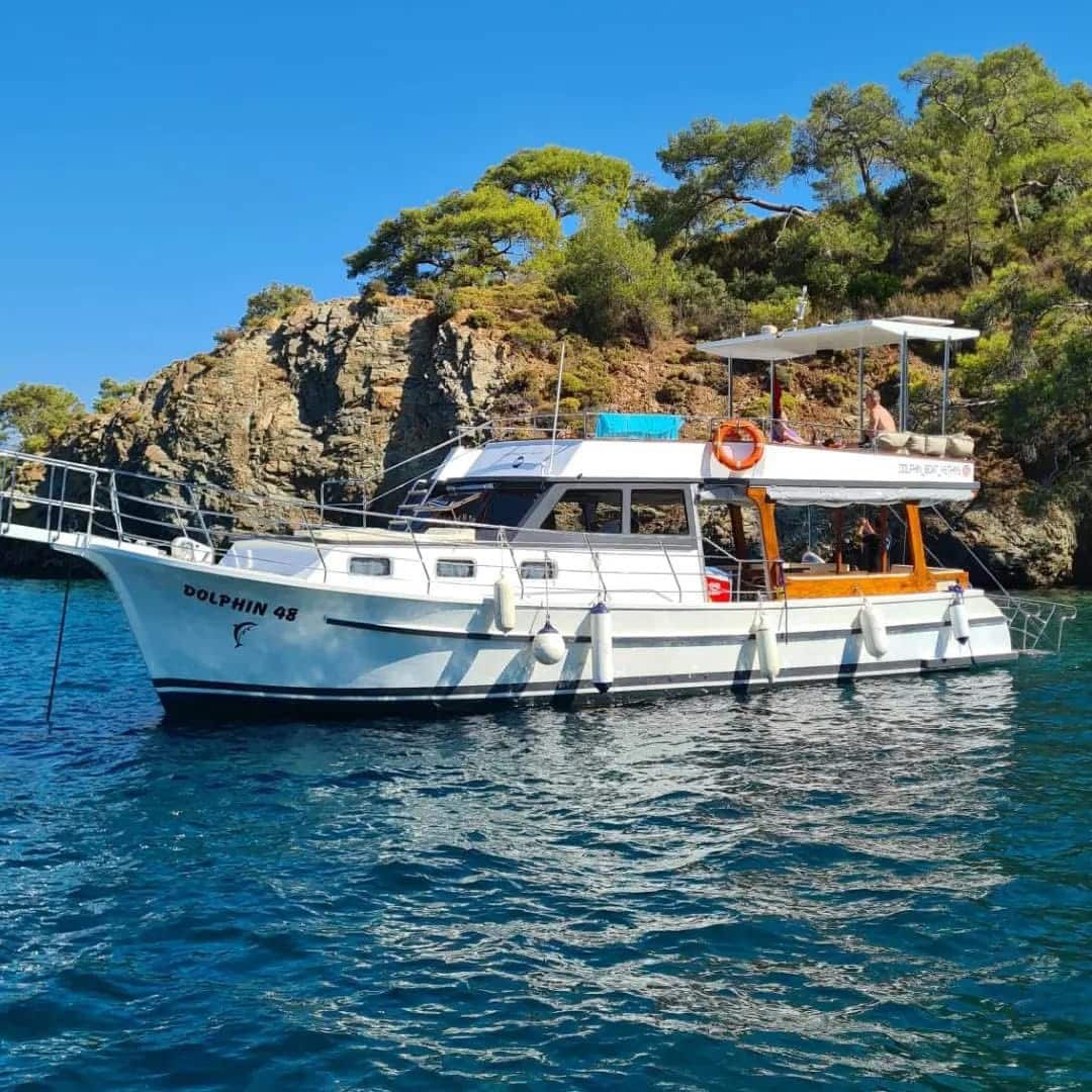 Dolphin48: Fethiye Butik Tekne Turu ile Tanışın