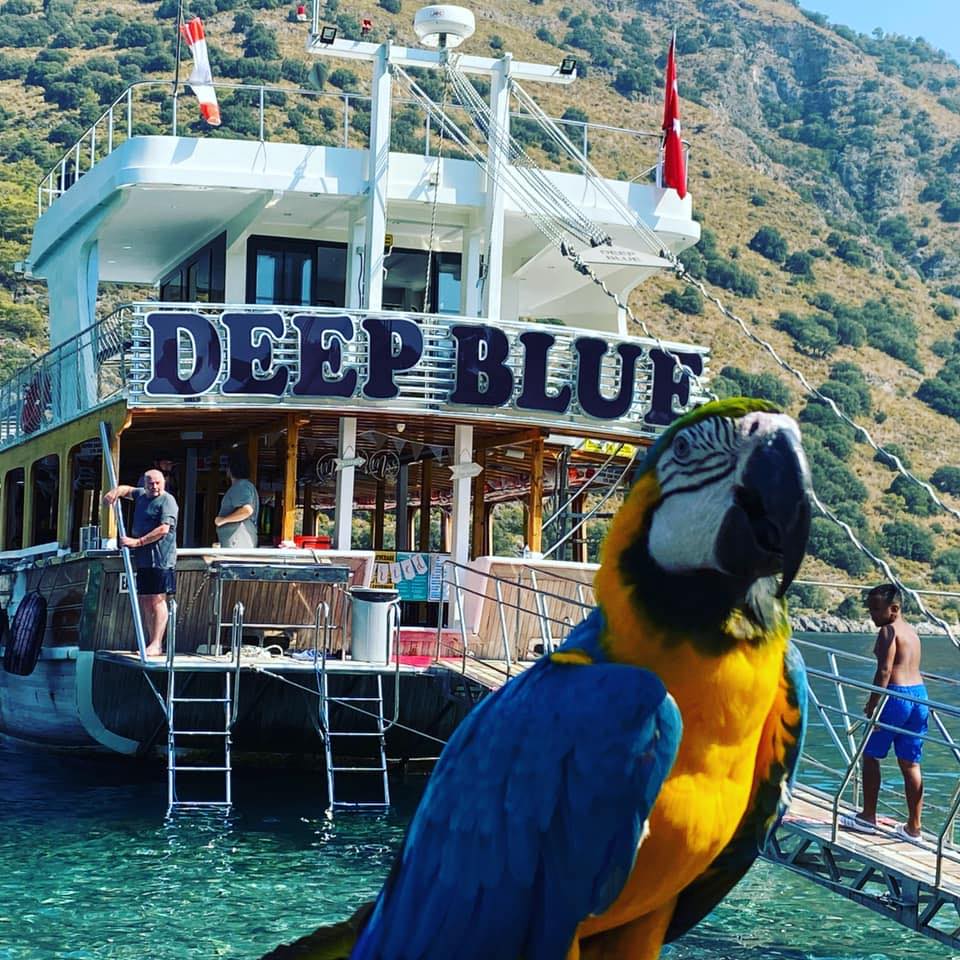Kelebekler Vadisi Tekne Turu: Deep Blue ile Fethiye’nin En Keyifli Rotası